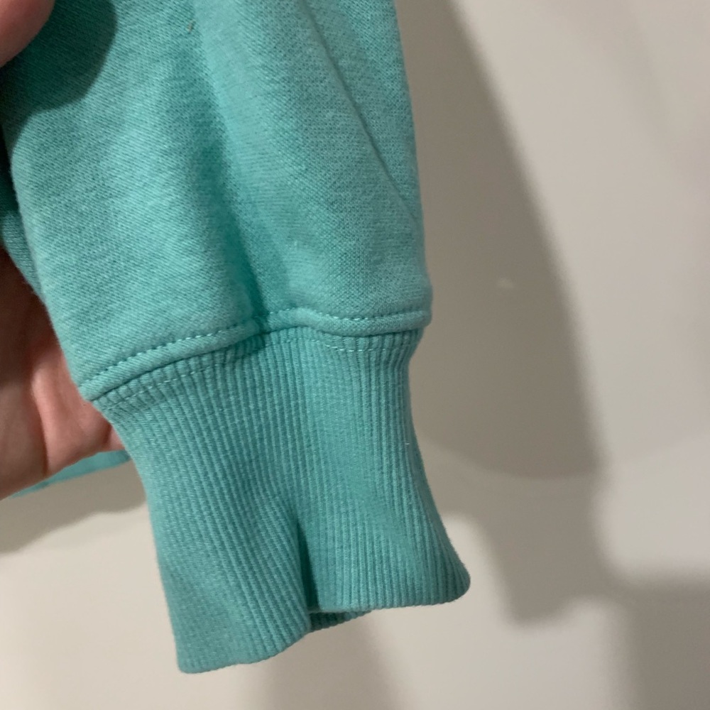The North Face Turquoise Hooded Sweatshirt Size M - Picture 6 of 9
